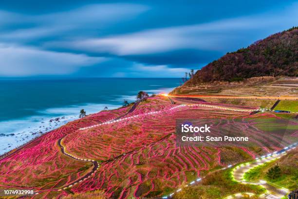 Wajima Rice Terraces Wajima Japan Rice Terraces Stock Photo - Download Image Now - Noto ...