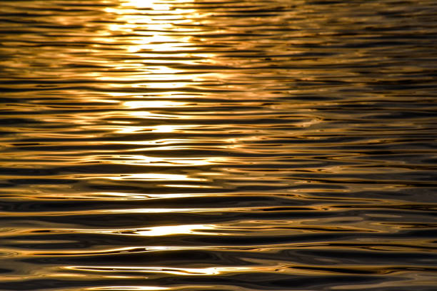 istock Summer evening at the mountain river 1074933484