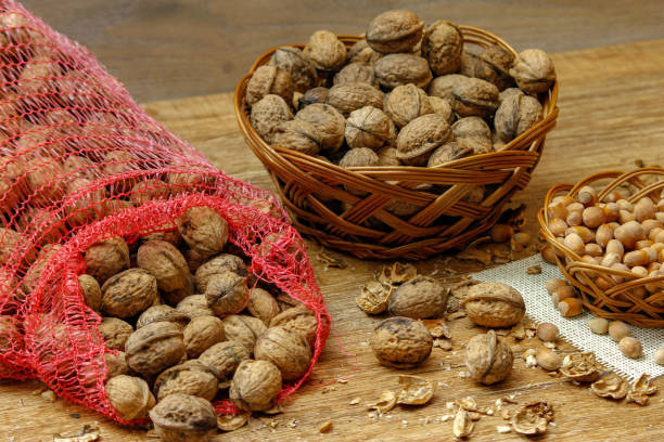istock Walnuts and hazelnuts whole and cracked in old baskets 1074933546
