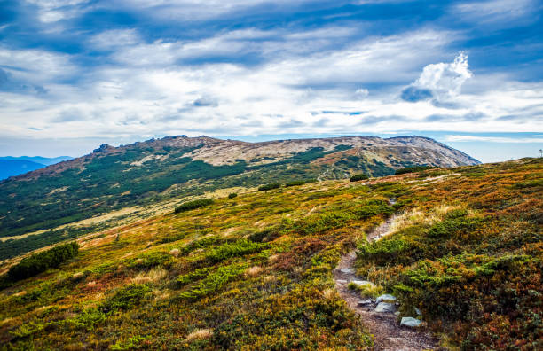 istock Beautiful autumn panorama in Carpathian mountains 1074946074