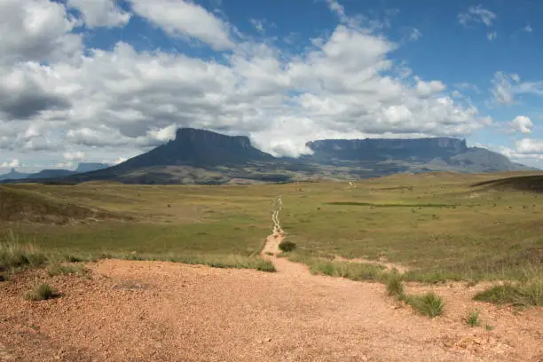 Roraima, tek and Kukenan