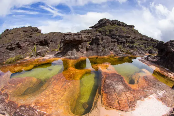 Roraima, tek and Kukenan