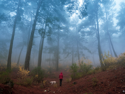 A Woman and her dog walking on a foggy day