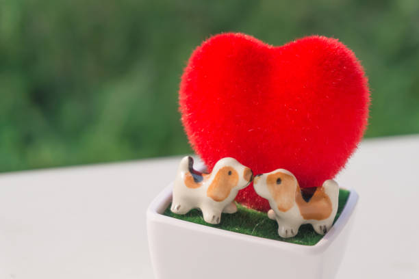 istock kissing dog with red heart 1074965666