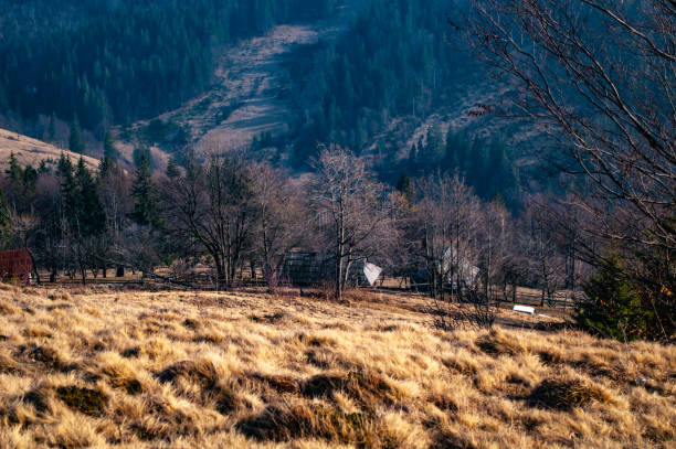 istock House on the mountainside in the forest 1074969822