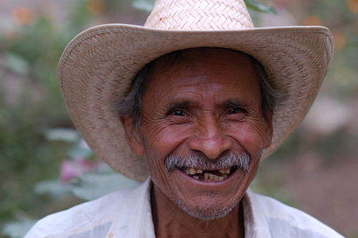 San Augustín, Morelos/Mexico--Novembewr 14, 2008. A family of campesinos harvests their crop of nopal.
