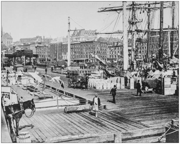 Antique historical photographs from the US Navy and Army: East River Docks, New York Antique historical photographs from the US Navy and Army: East River Docks, New York pier photos stock illustrations