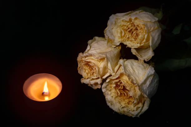 istock candle and withered roses in the dark 1074976636