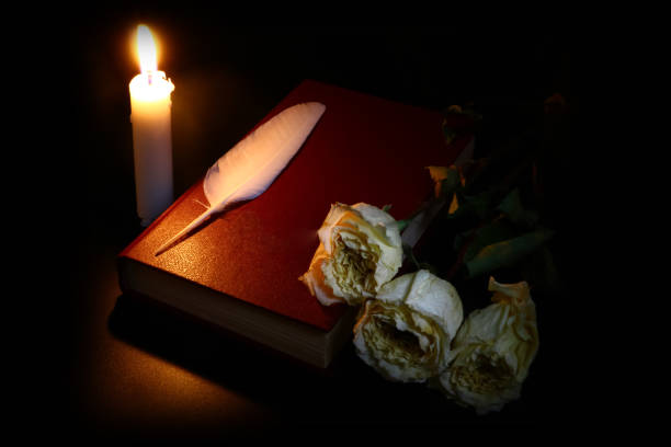 istock old books, withered roses, burning candle and feather in the dark 1074976800