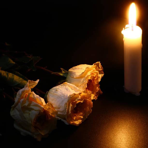 istock withered roses and a burning candle in the dark 1074976810