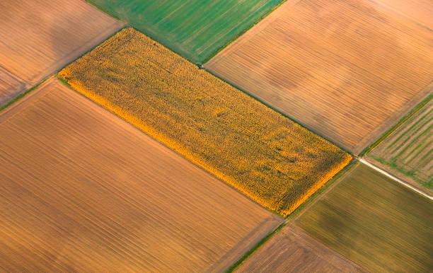 istock rural landscape with acre from hot air balloon 1074977566
