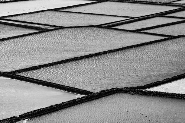 istock Salt piles on a saline exploration 1074983104