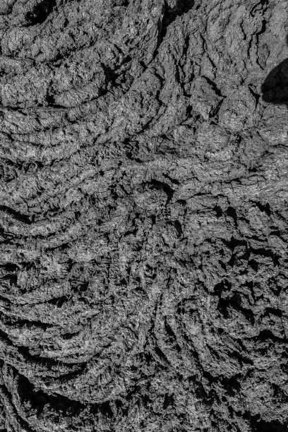istock cold volcanic flow in detail 1074983782
