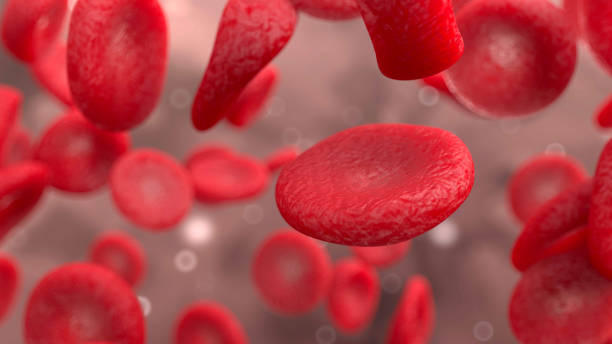 czerwone krwinek (erytrocytów) pod mikroskopem - red blood cell obrazy zdjęcia i obrazy z banku zdjęć