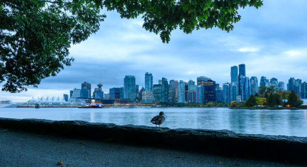 istock Downtown Vancouver at a cloudy morning 1074994836