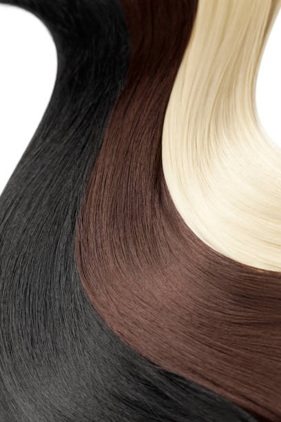 istock Closeup on luxurious colorful glossy hair 1074995330