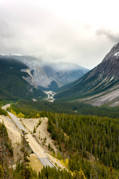 istock The Icefields Parkway at Cirrus Mountain 1074997646