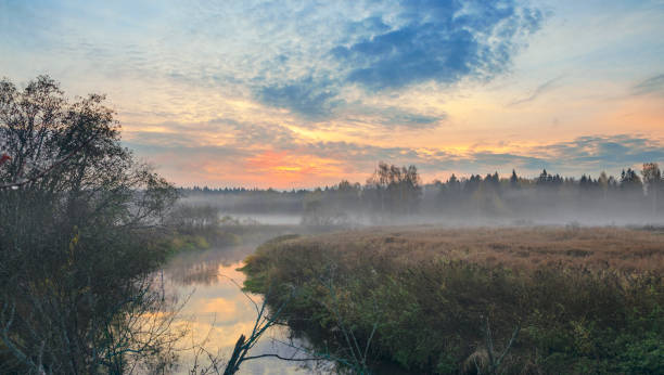 istock Foggy autumn landscape with small forest river. 1074998464
