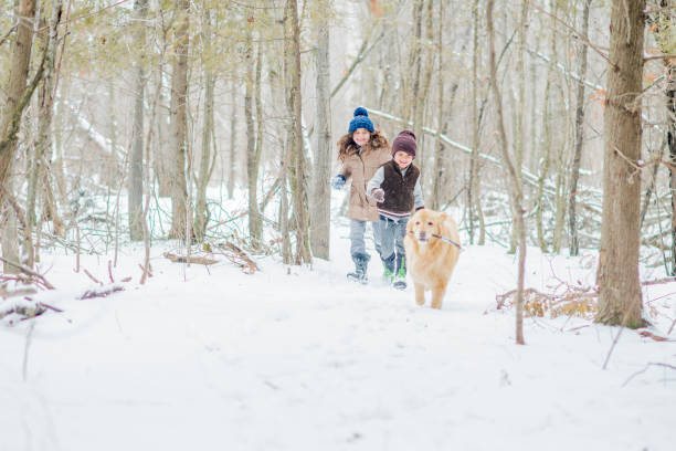 istock Siblings and their dog running 1075007334
