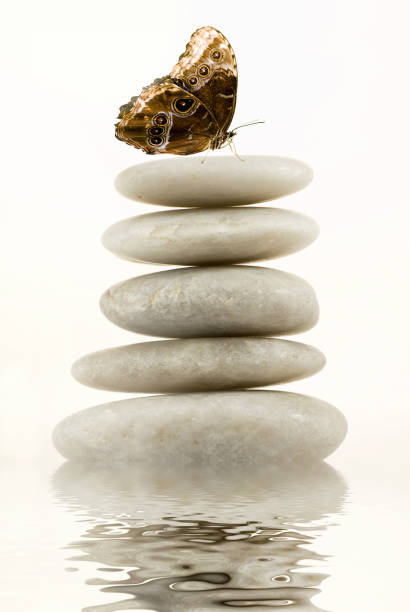 istock Zen garden with stone pyramid reflected in the clear water 1075019662