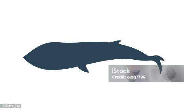 Whale Silhouette Isolated Whale On White Background Stock Illustration - Download Image Now