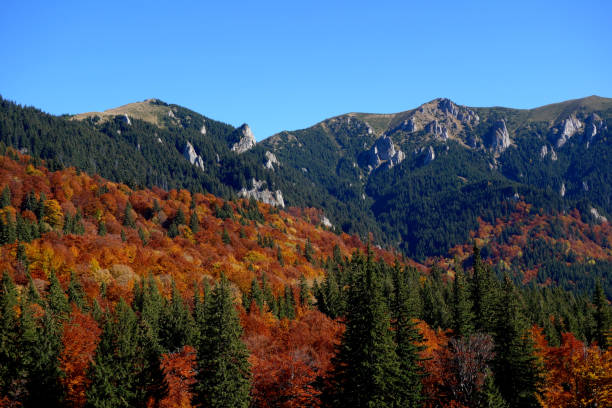 istock Autumn in October in the Ciucas Mountains 1 1075048636