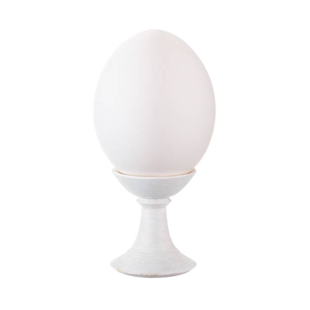 White egg on stand isolated on white background. stock photo