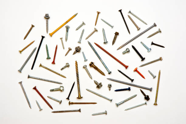 A wide variety of screws, all different, on white.