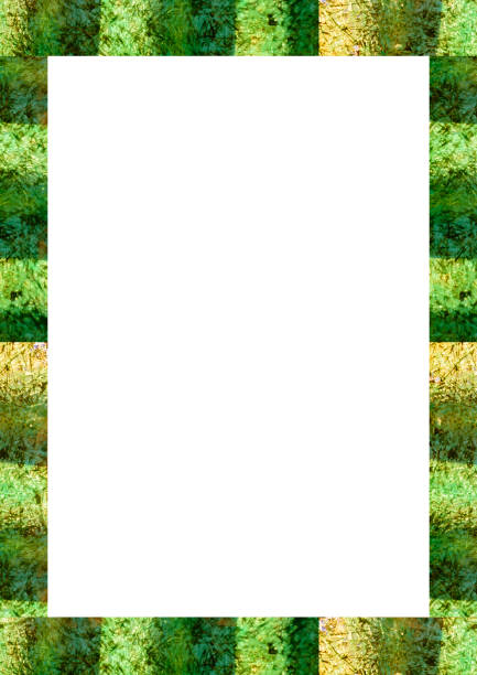 White frame background with jungle motif color decorated design edges