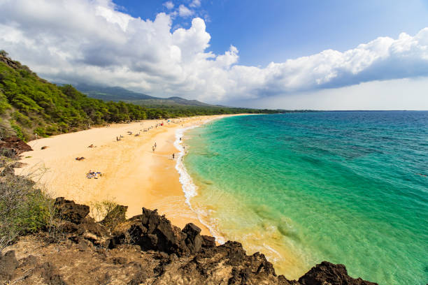 istock Big Beach, Maui, Hawai'i 1075062262