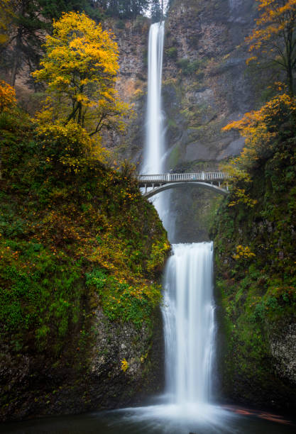 istock Autumn Multnomah Falls Columbia River Gorge. 1075074698