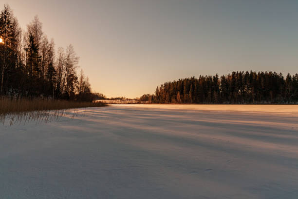 istock simple countryside landscape in latvia with fields and trees under snow 1075079950