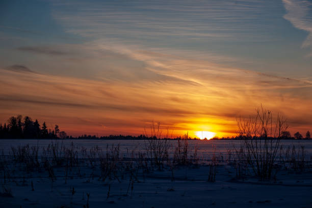 istock simple countryside landscape in latvia with fields and trees under snow 1075081180