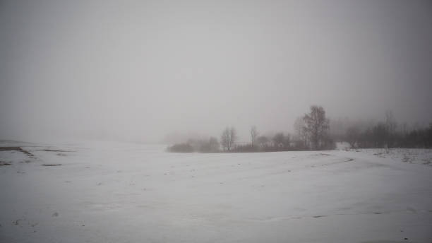 istock simple countryside landscape in latvia with fields and trees under snow 1075081190