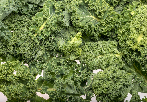 istock A healthy fresh curly kale 1075082310
