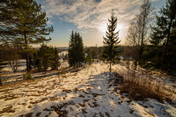 istock simple countryside landscape in latvia with fields and trees under snow 1075086672