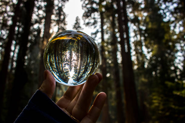 istock Forest Grove Captured at Sunset in Glass Ball Reflection Held in Fingertips 1075091926