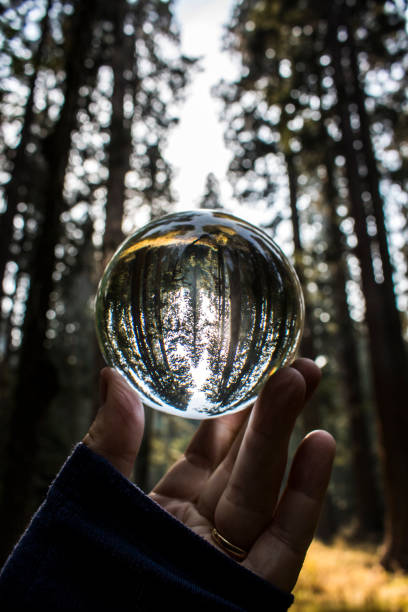 istock Glass Globe Captures Forest Grove at Sunset with Ball Held in Fingers 1075091928