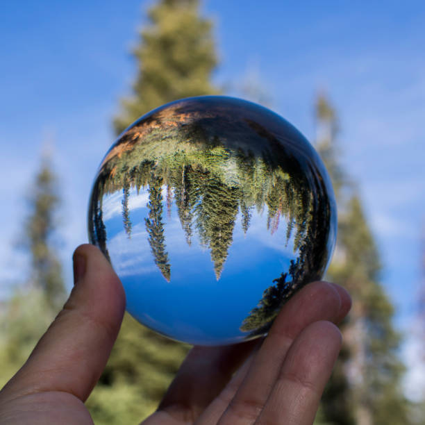 istock Glass Ball Captures Reflection of Pine Trees and Sky 1075096520