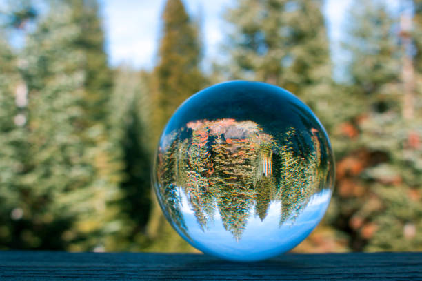 istock Forest Grove Captured in Glass Ball Reflection with Blue Sky 1075097198