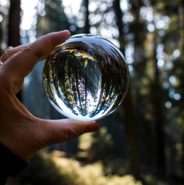 istock Sun Rays Beam Through Forest Captured in Glass Ball Held in Fingertips 1075097330