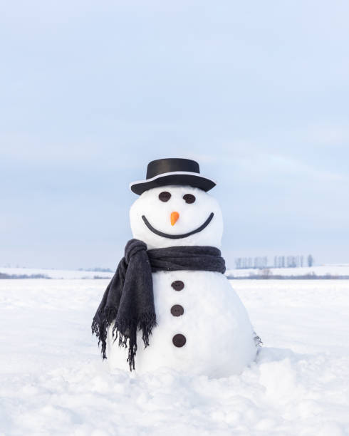 istock Funny snowman in black hat 1075099962