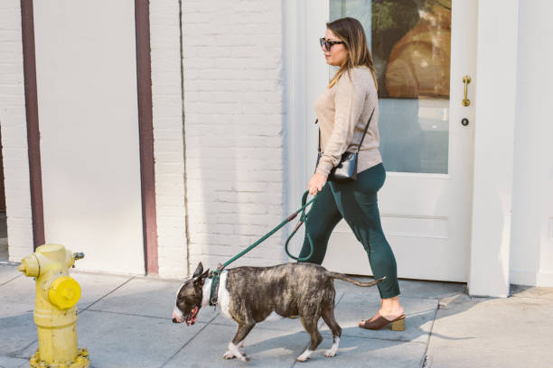istock Young Latina Woman Walking Her Dog with Fire Hydrant 1075100118