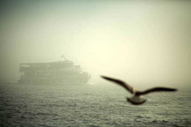View of a Crowded Ferry Sailing in a Foggy Day through Bosphorus in a Foggy Day in Istanbul, containing an unfocused flying Seagull.