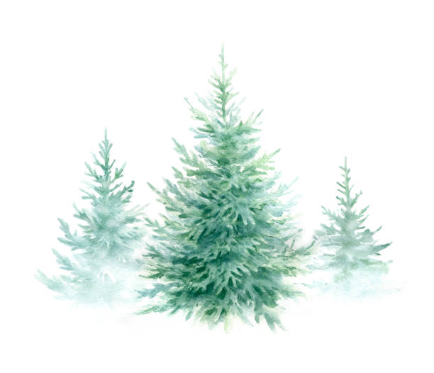 Christmas tree Christmas trees isolated on white background.Watercolor illustration. december clipart pictures stock illustrations