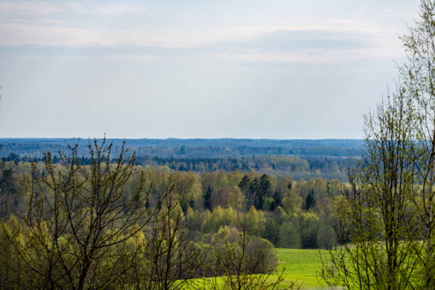 plain simple countryside spring landscape with fresh green meadows and forests . blue sky over