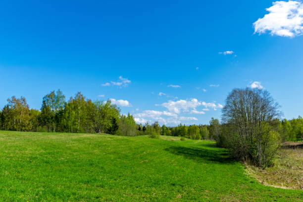 istock plain simple countryside spring landscape with fresh green meadows and forests 1075109932
