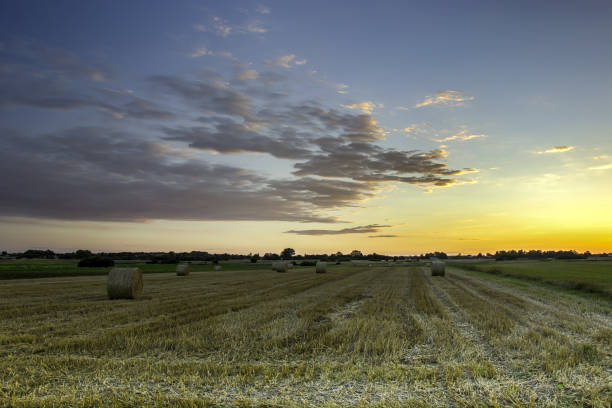 istock Field with bales of hay 1075112800
