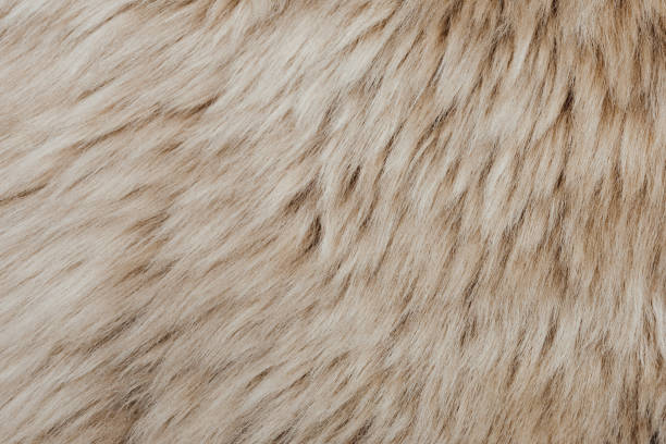 istock brown sheepskin fur texture background 1075119676