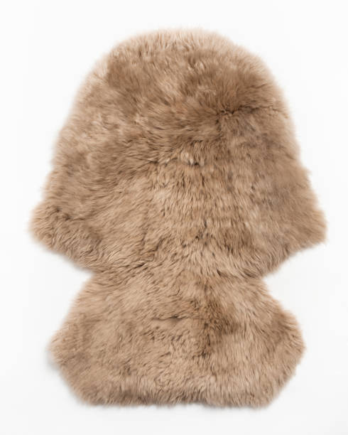 istock sheepskin fur carpet on white background 1075121954